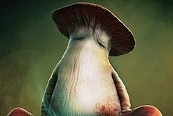 large_mushroom_people_enemy_dark_soul